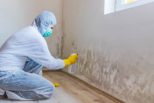 Bathroom Mold Removal assessment in Watertown bathroom